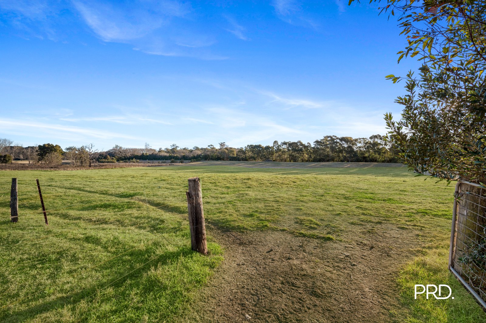 20 Purcell Street ELDERSLIE 31