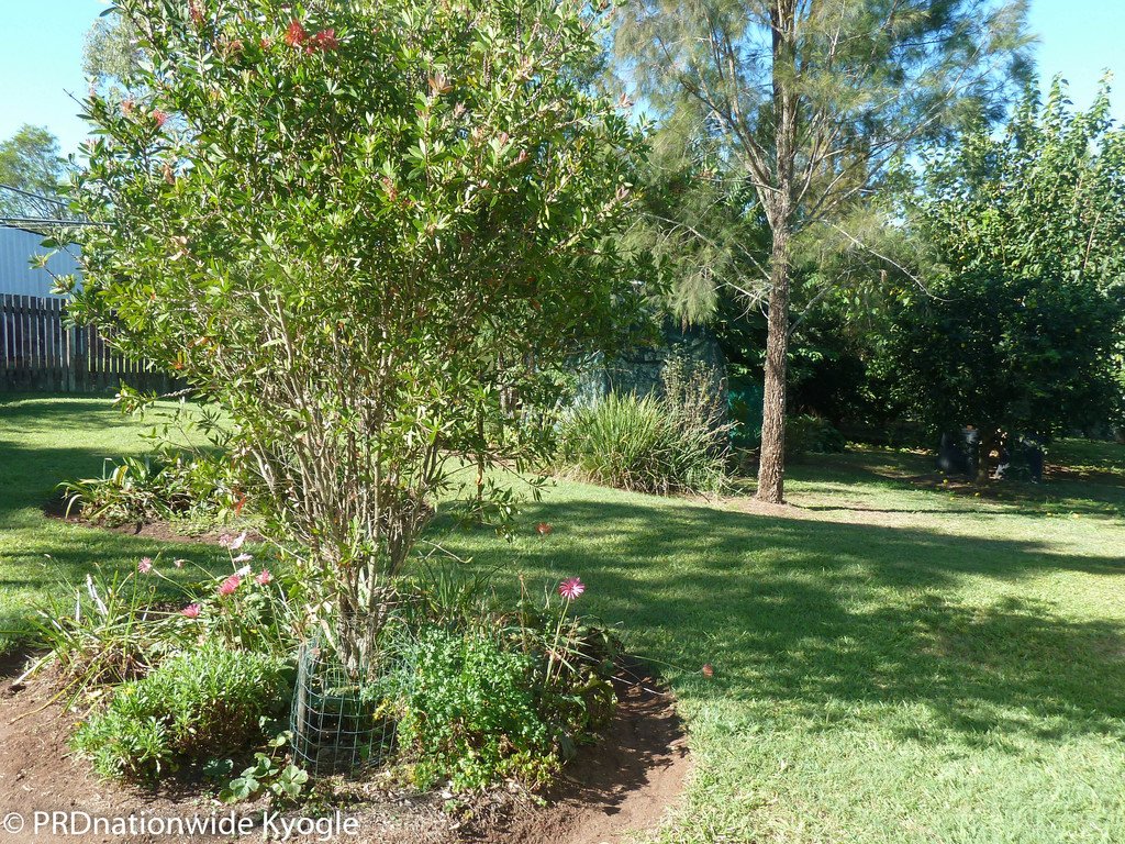 20 Saville Street KYOGLE 18
