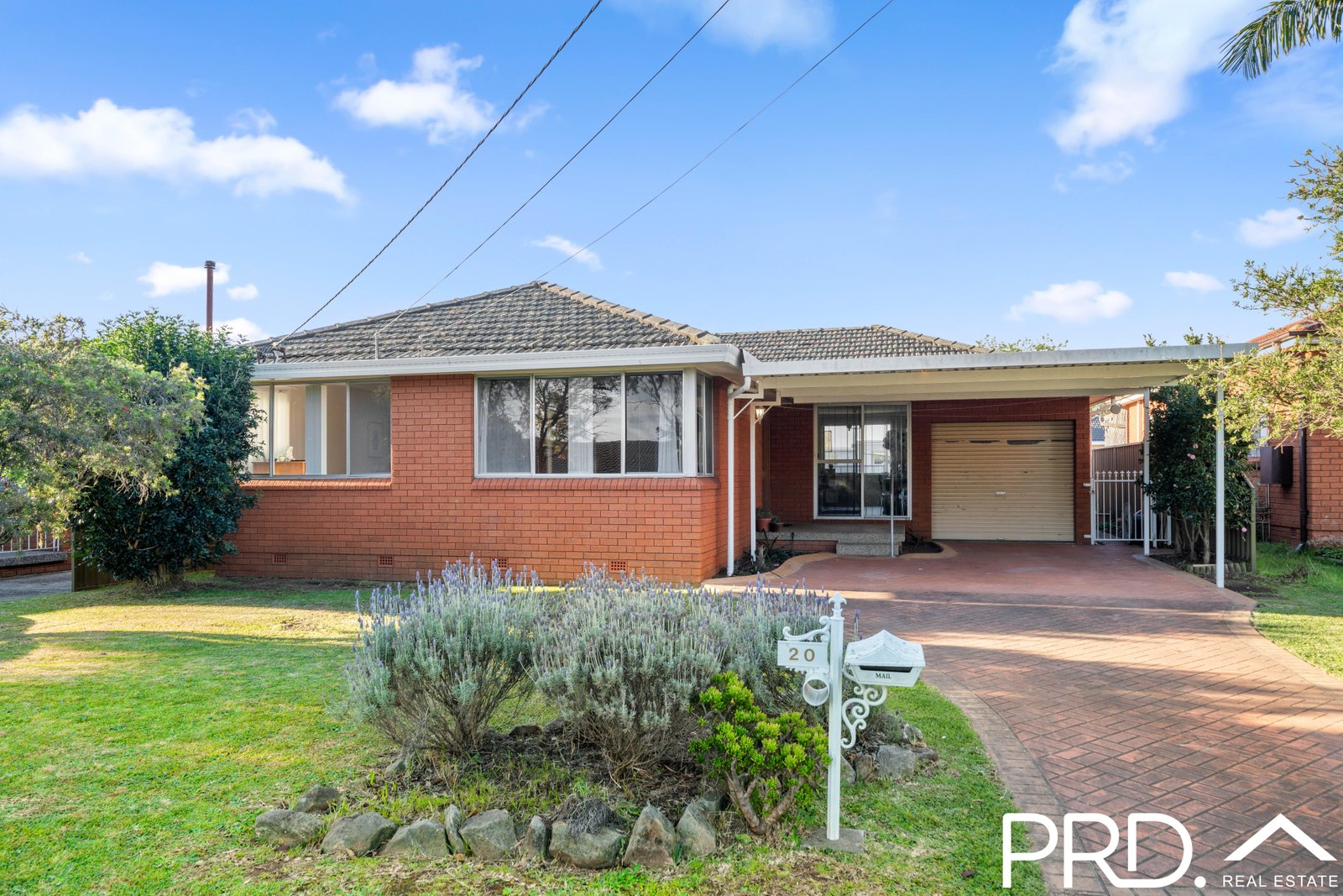 20 Tracey Street REVESBY 1