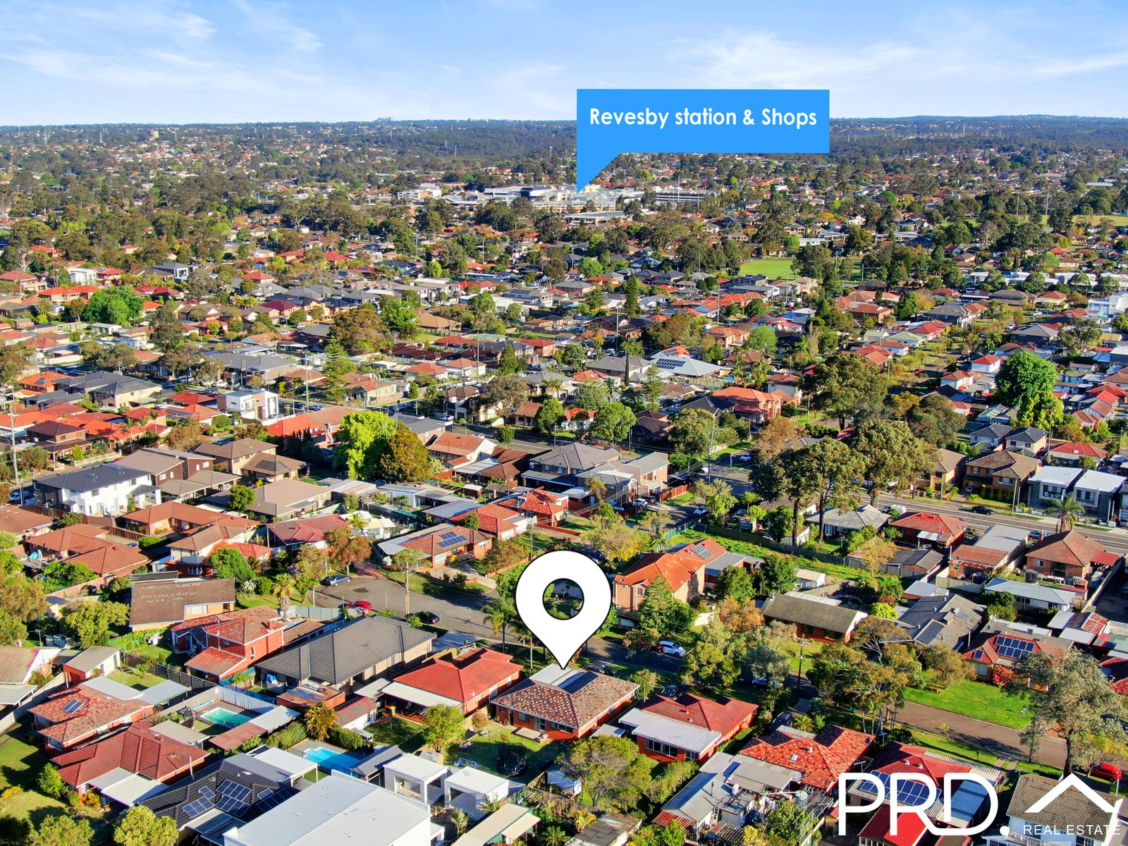 20 Tracey Street REVESBY 6