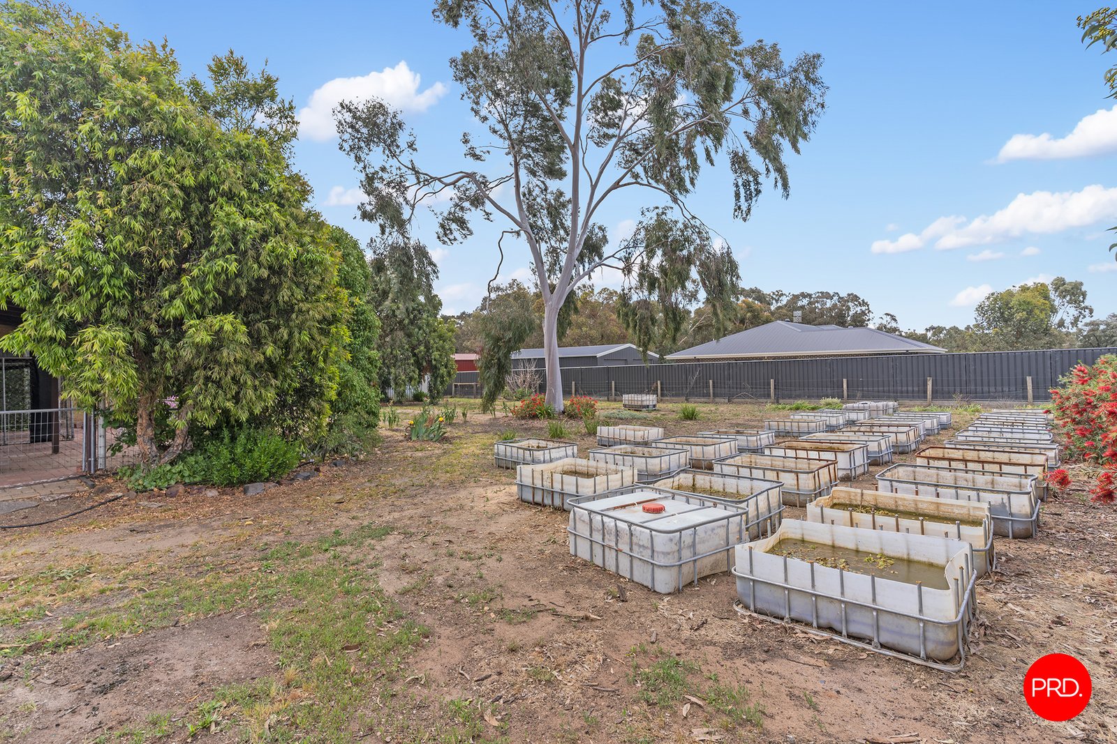 20 Viola Road HUNTLY 17