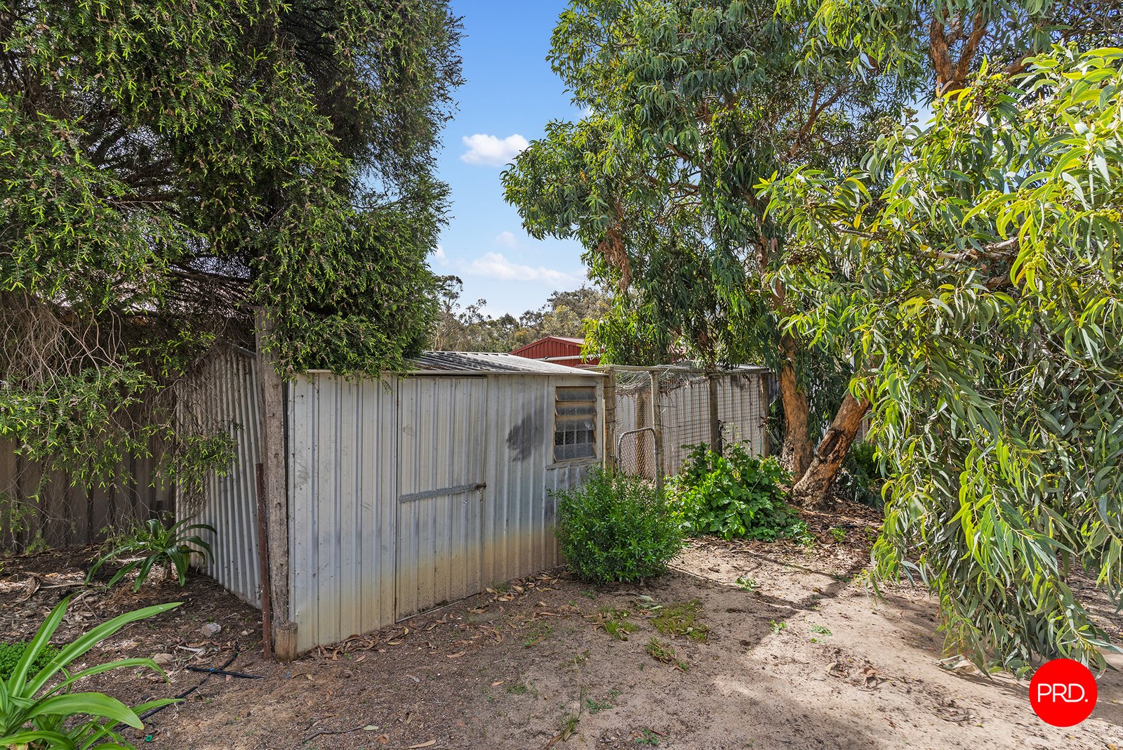 20 Viola Road HUNTLY 19