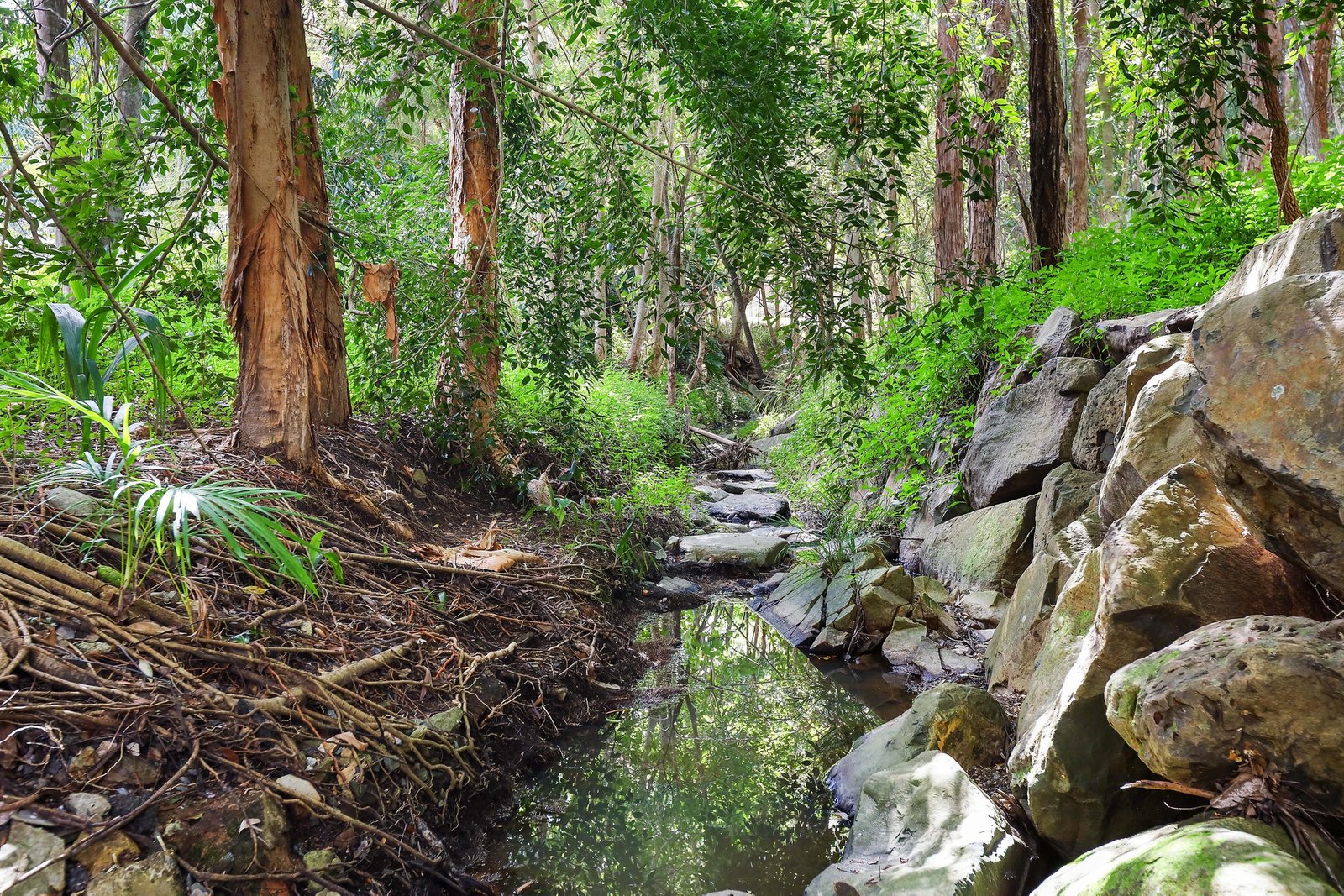 20 Walker Drive WORONGARY 21