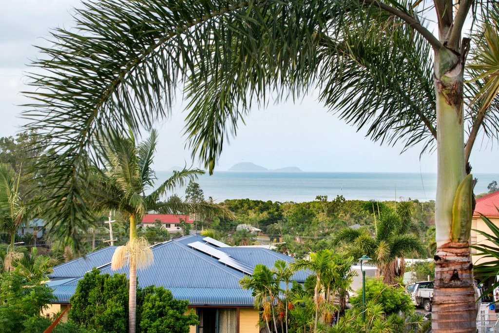 20 Wills Court CANNONVALE 4