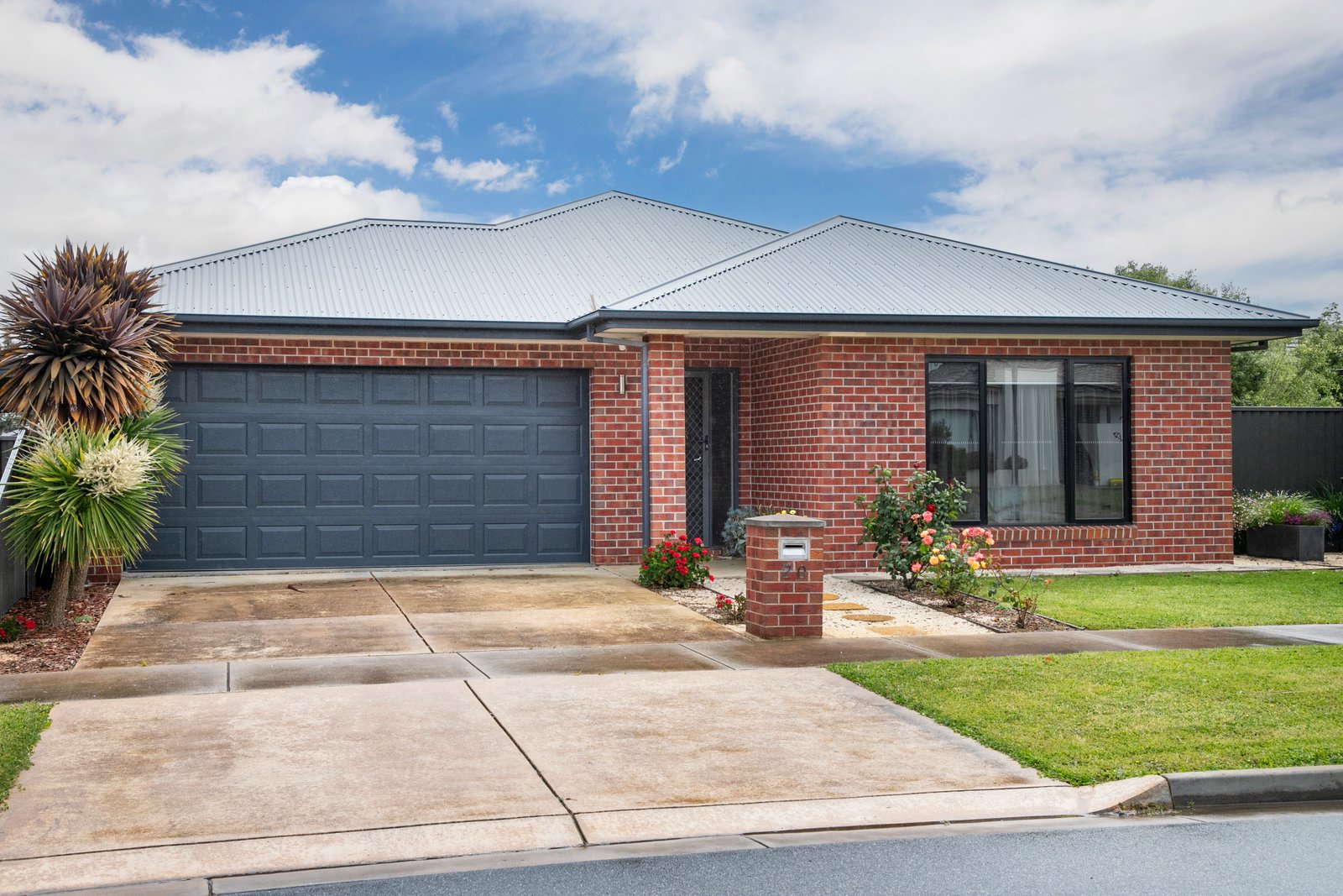 20 Wilmott Street LUCAS 2