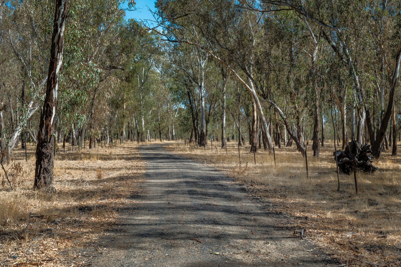 Real Estate and Property in 200 Campbells Road, Redesdale, VIC