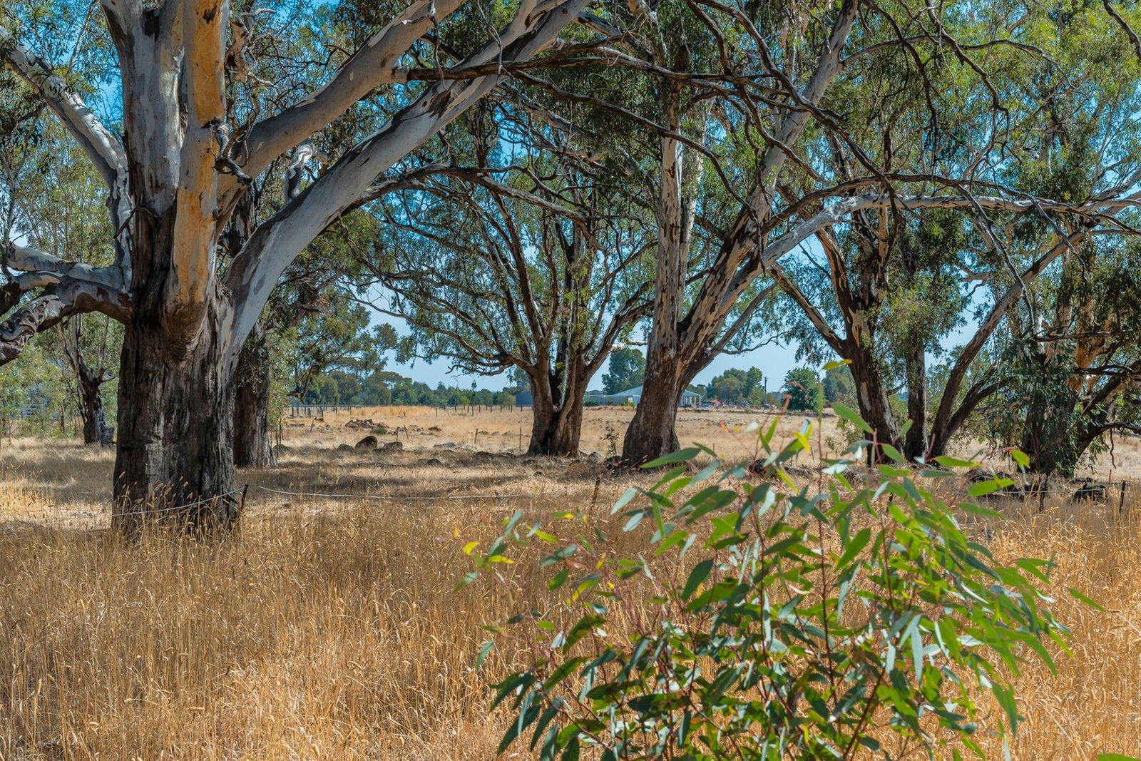 Real Estate and Property in 200 Campbells Road, Redesdale, VIC