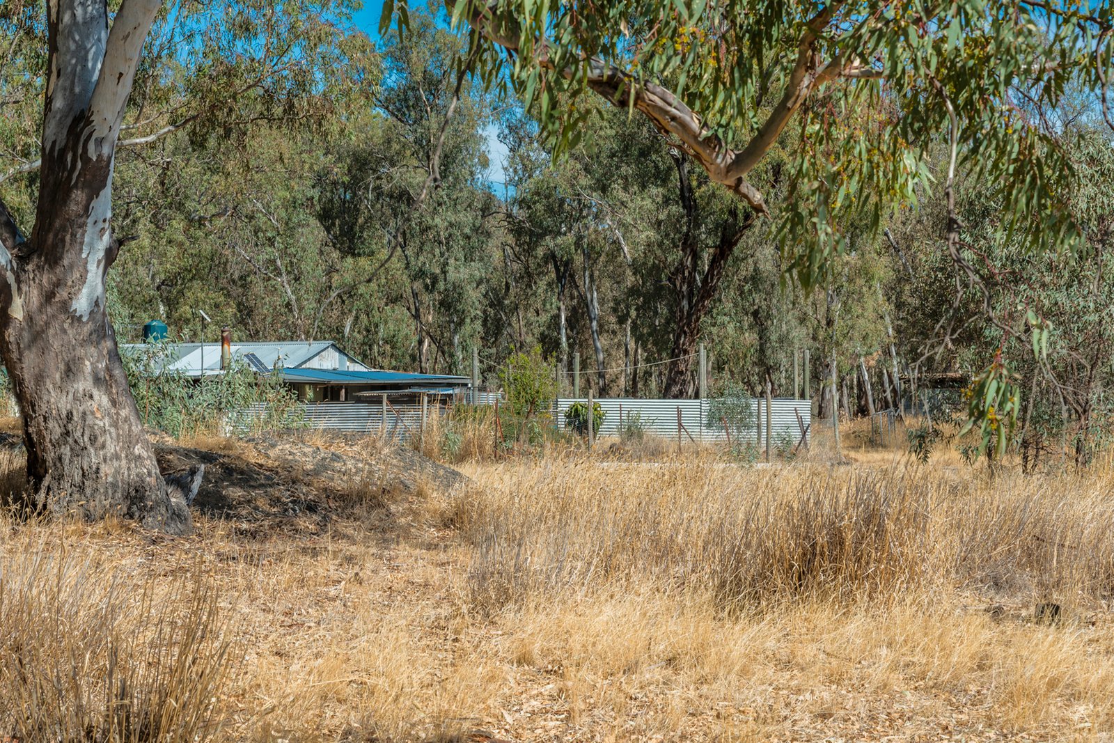 Real Estate and Property in 200 Campbells Road, Redesdale, VIC
