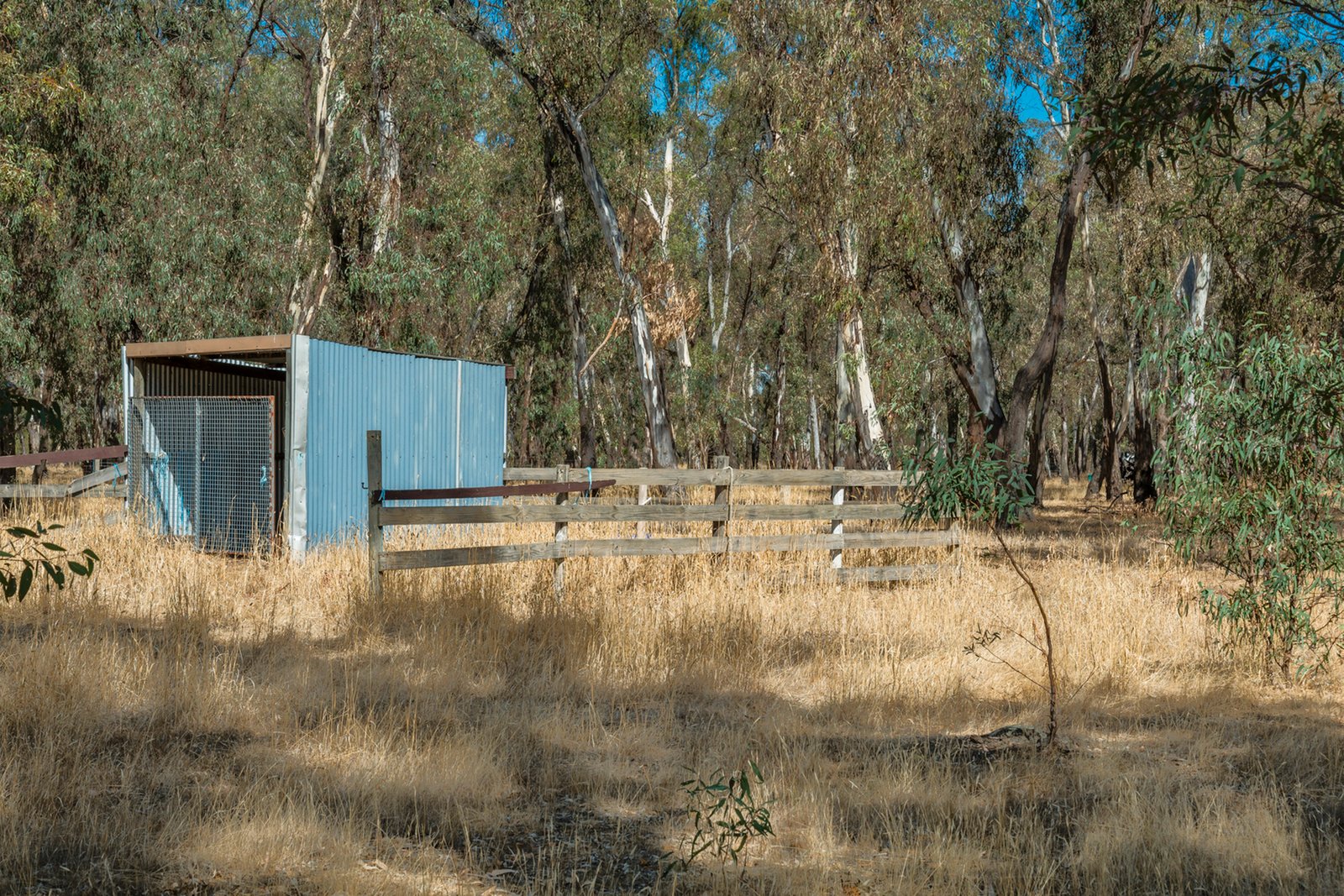 Real Estate and Property in 200 Campbells Road, Redesdale, VIC