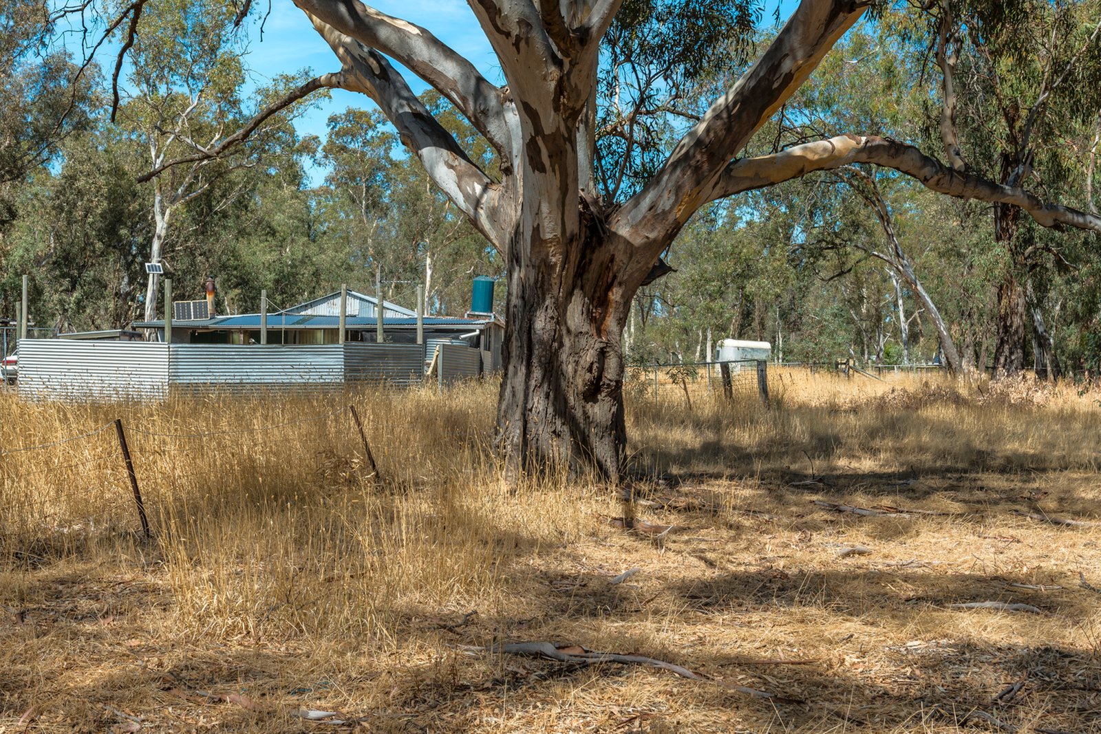 Real Estate and Property in 200 Campbells Road, Redesdale, VIC