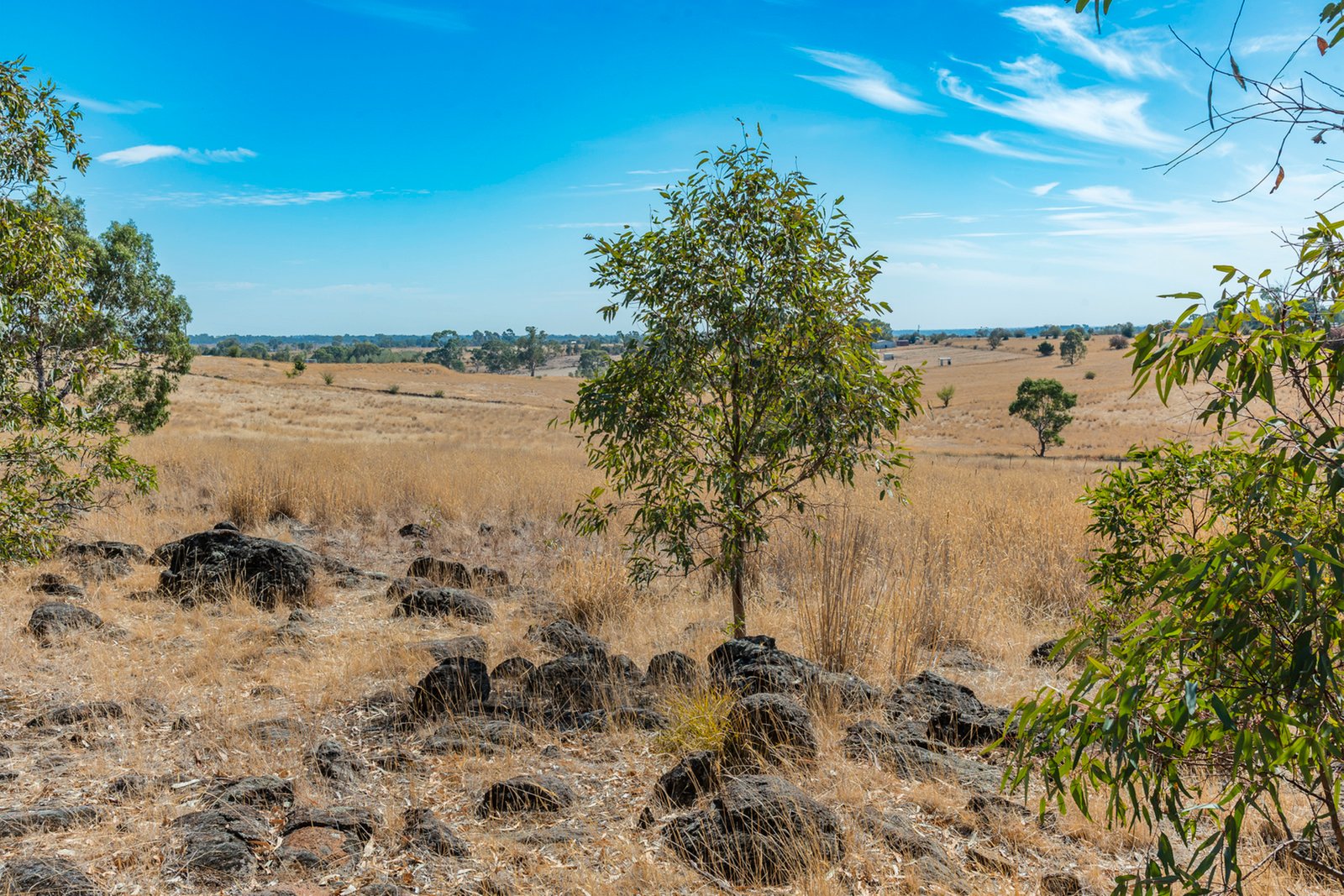 Real Estate and Property in 200 Campbells Road, Redesdale, VIC