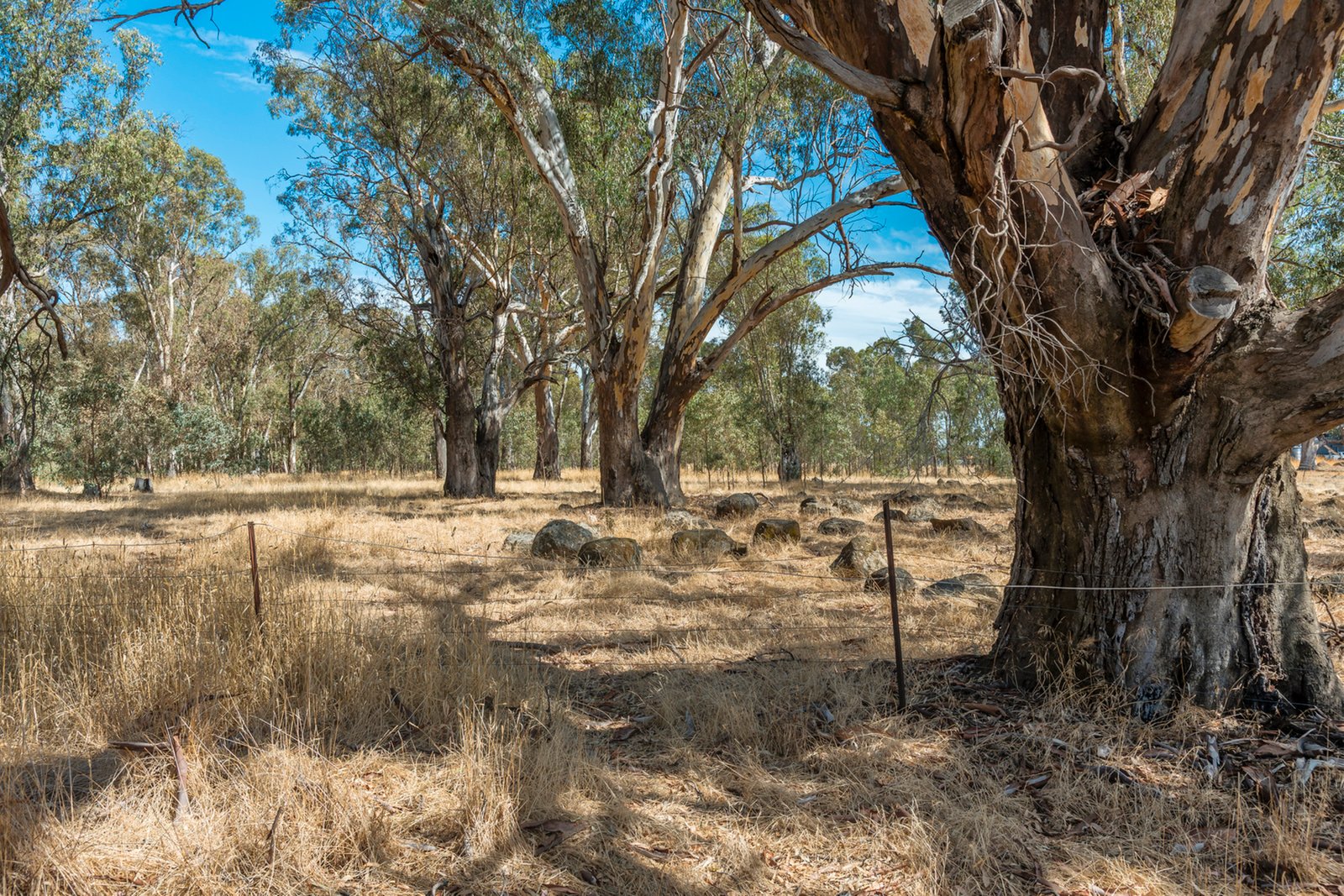 Real Estate and Property in 200 Campbells Road, Redesdale, VIC