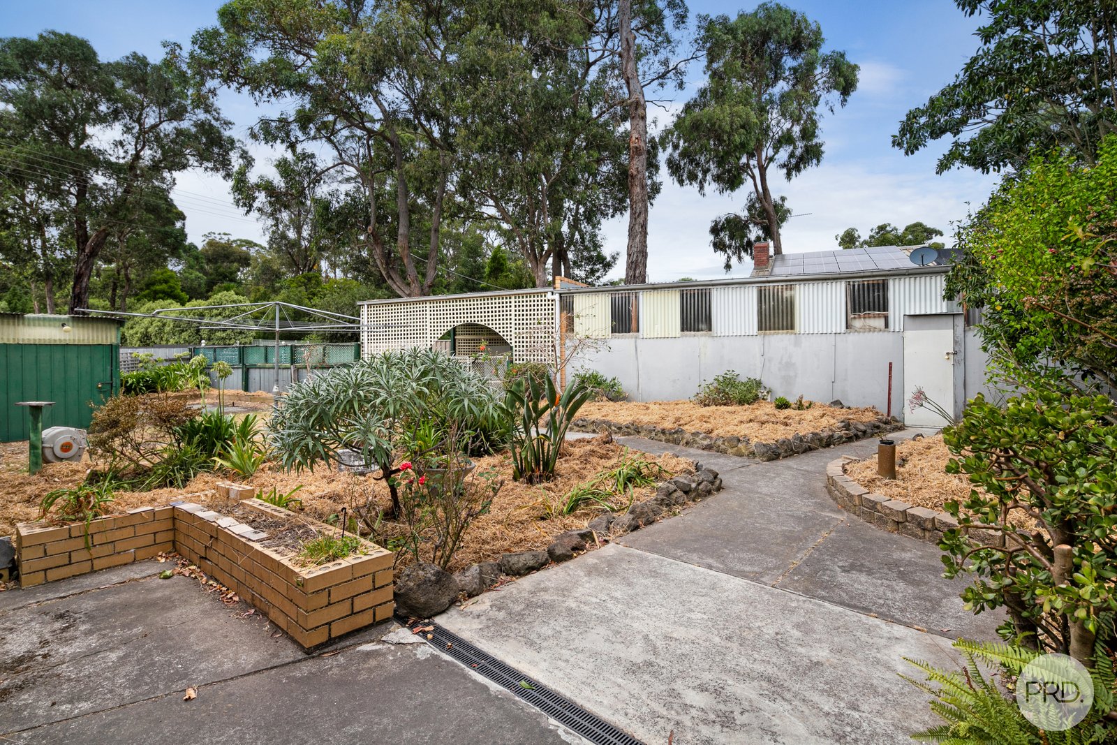 201 Boak Avenue MOUNT HELEN 14