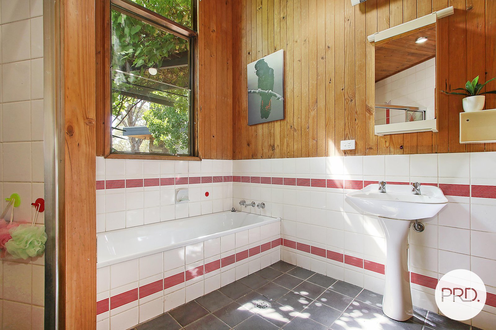 201 Bretton Road SPLITTERS CREEK 10
