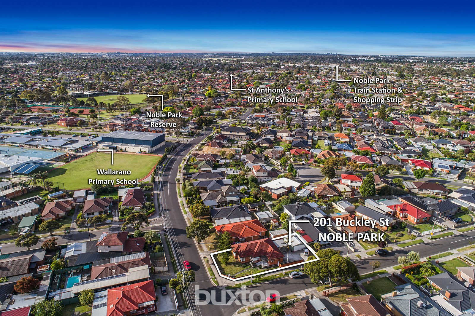 Gallery: 201 Buckley Street