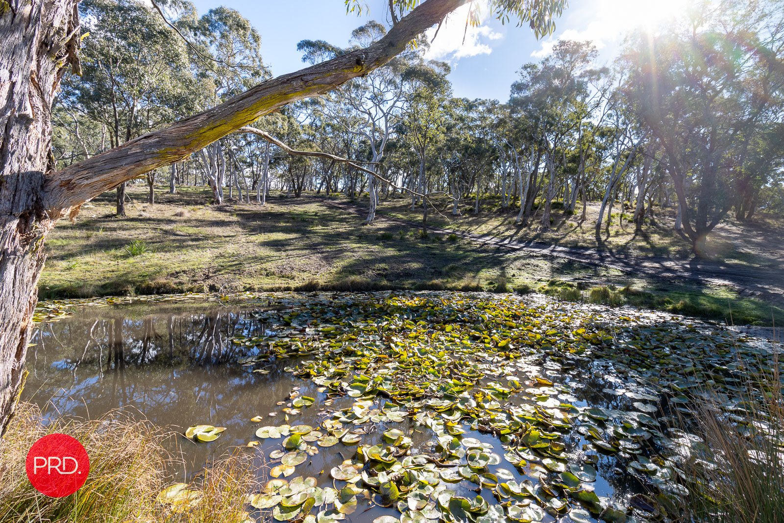 201 Sandhills Road MOUNT FAIRY 30