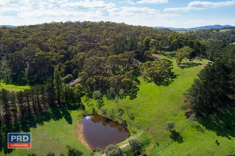 201 Sandhills Road MOUNT FAIRY 5