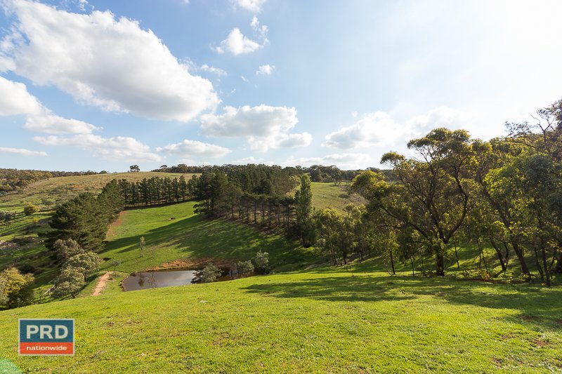 201 Sandhills Road MOUNT FAIRY 7