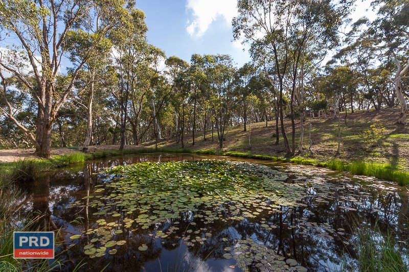 201 Sandhills Road MOUNT FAIRY 26
