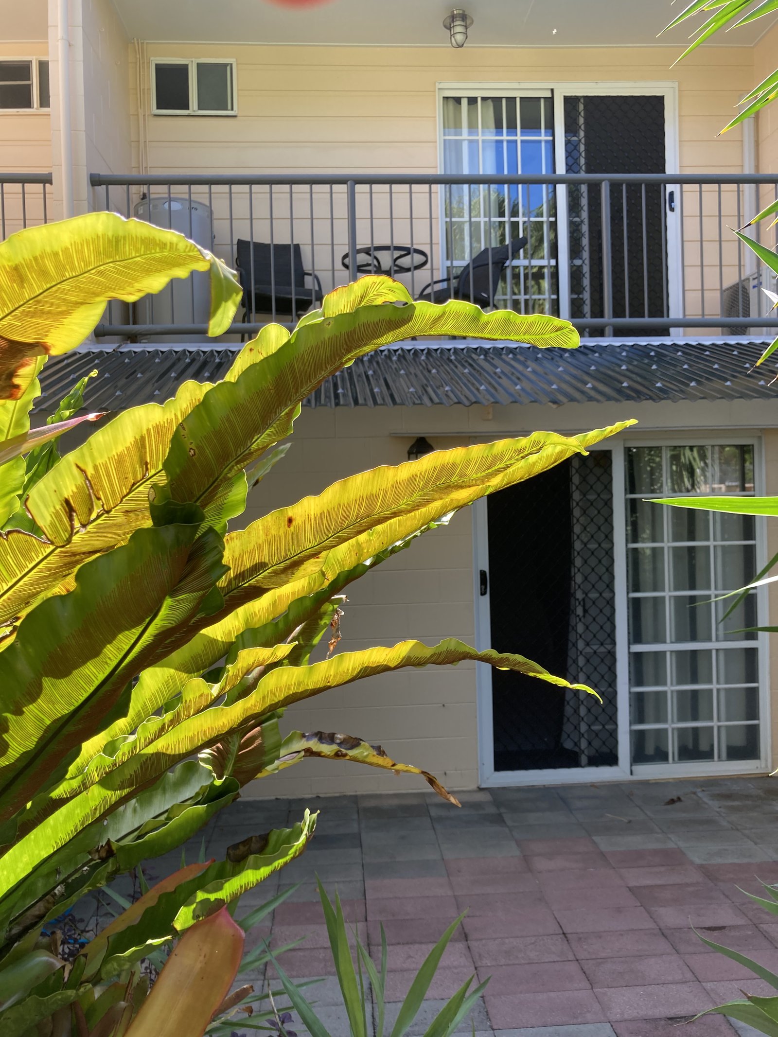 20/11 Island Drive CANNONVALE 2