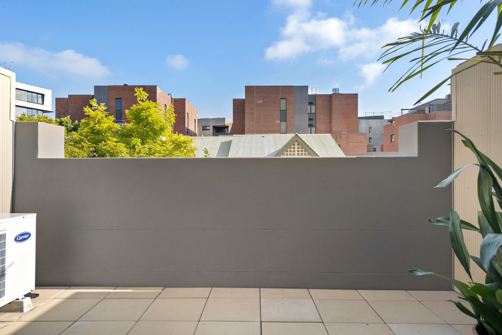 201/12-14 Queen Street GLEBE 3