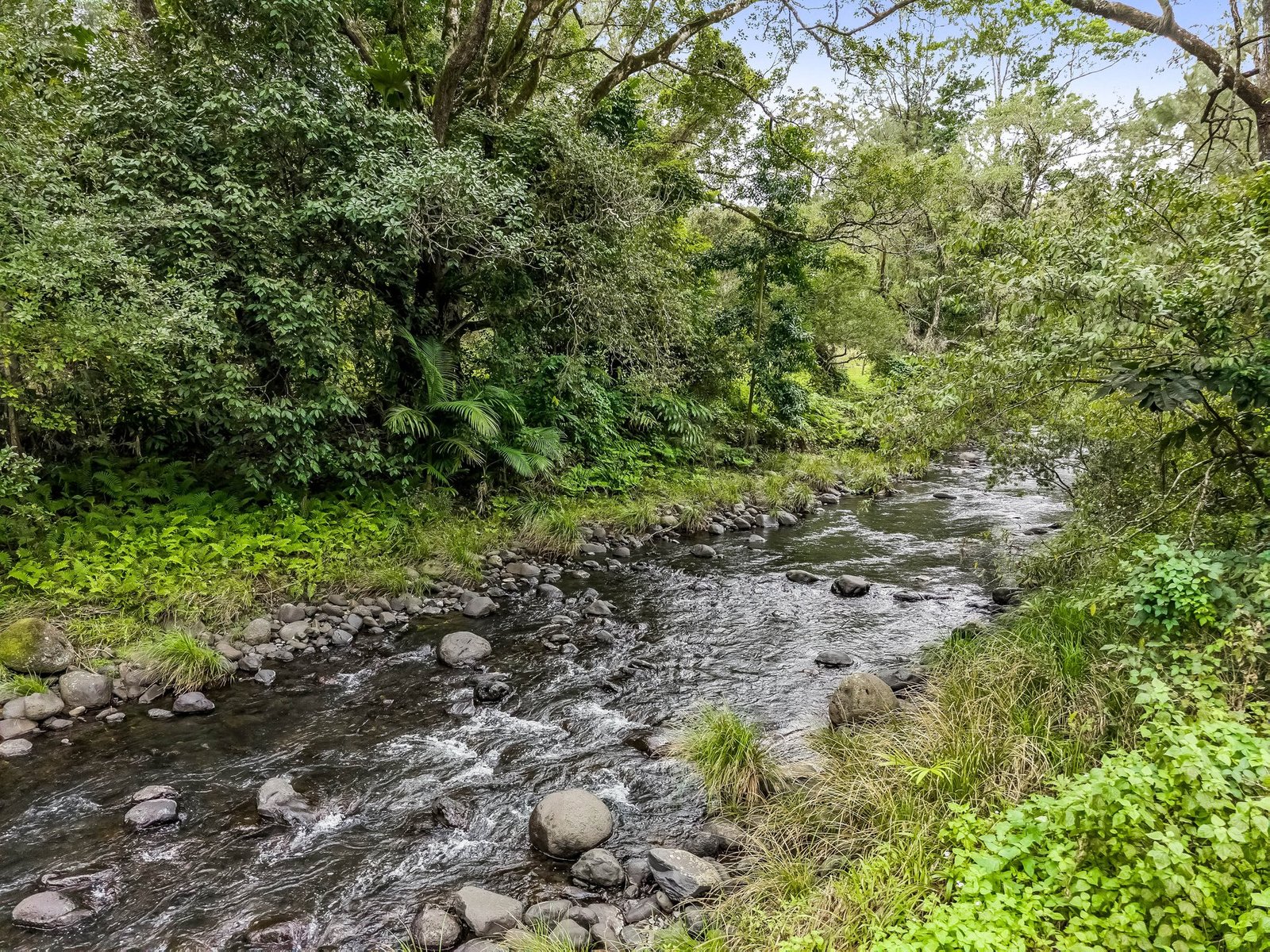 2015 Collins Creek Road COLLINS CREEK 3