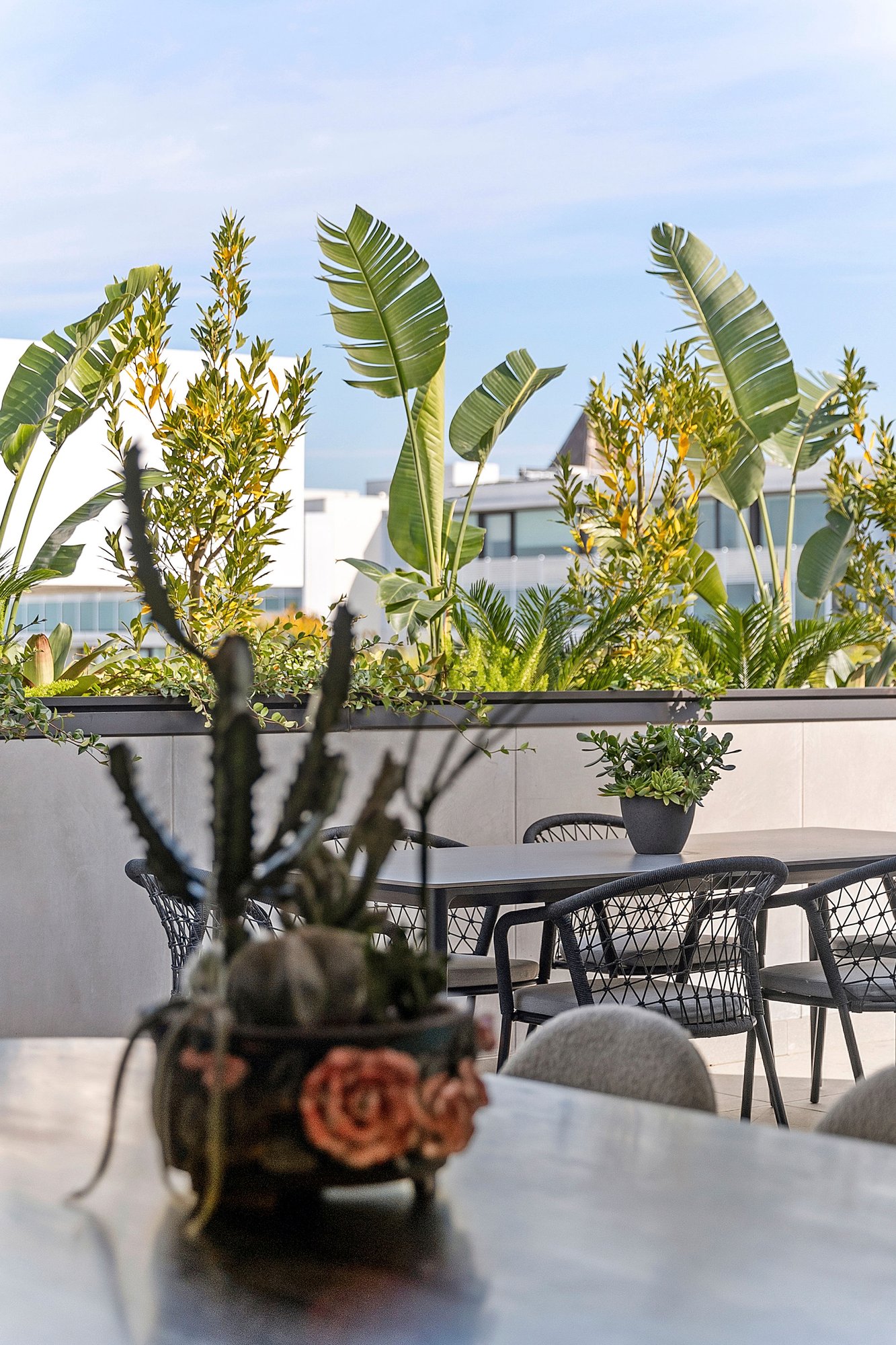 Real Estate and Property in 201/64 Black Street, Brighton, VIC