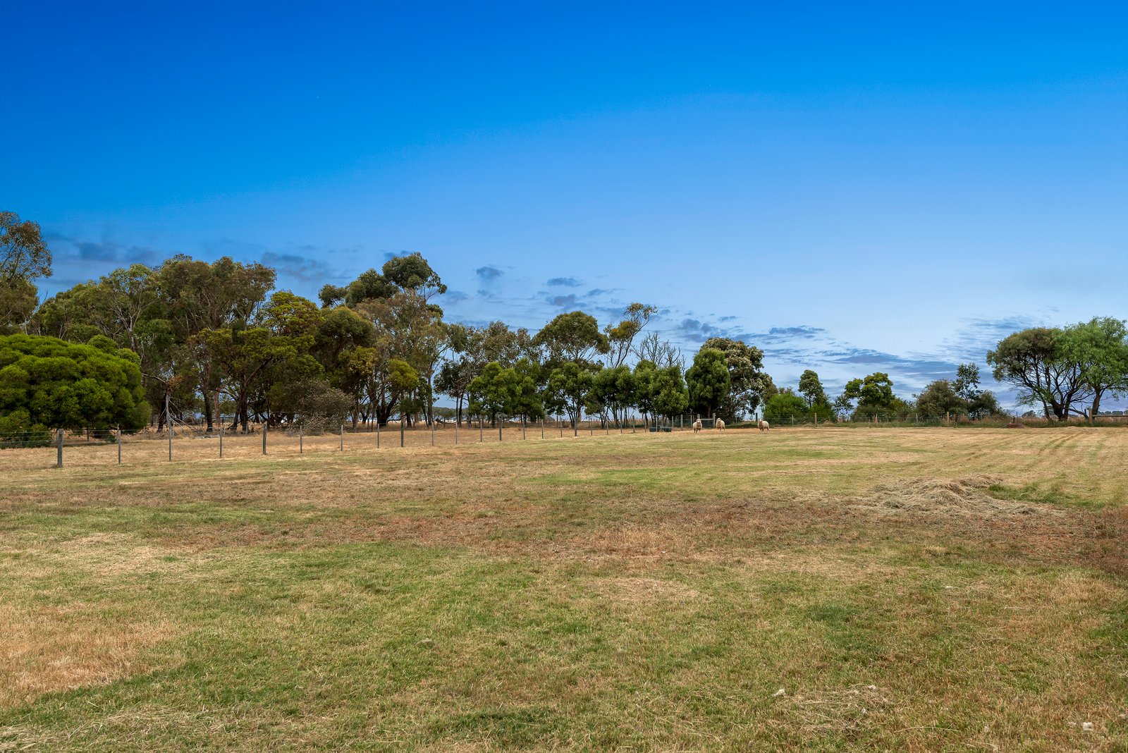 Real Estate and Property in 202-210 Rhinds Road, Wallington, VIC