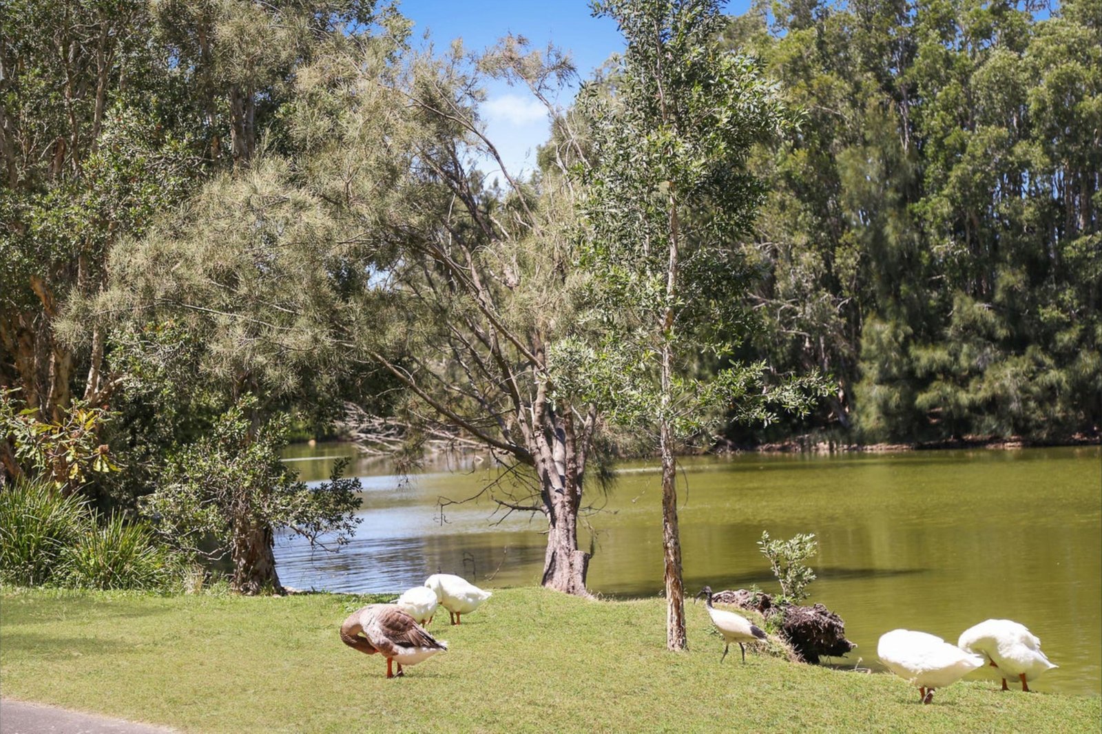 202/18 Pemberton Street BOTANY 13