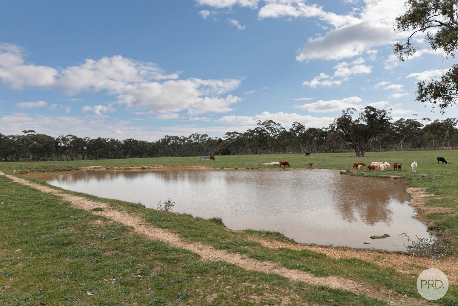 203 Browns Road BURNBANK 5