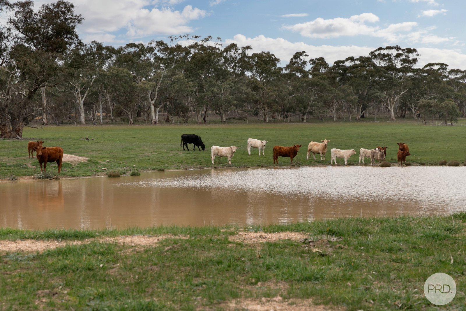 203 Browns Road BURNBANK 6