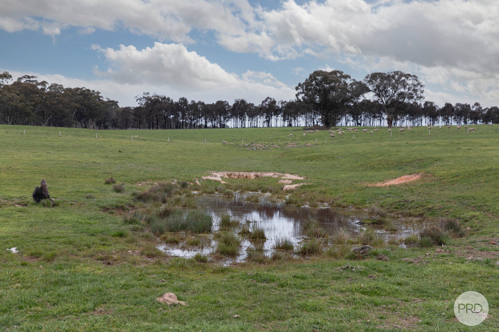 203 Browns Road BURNBANK 8