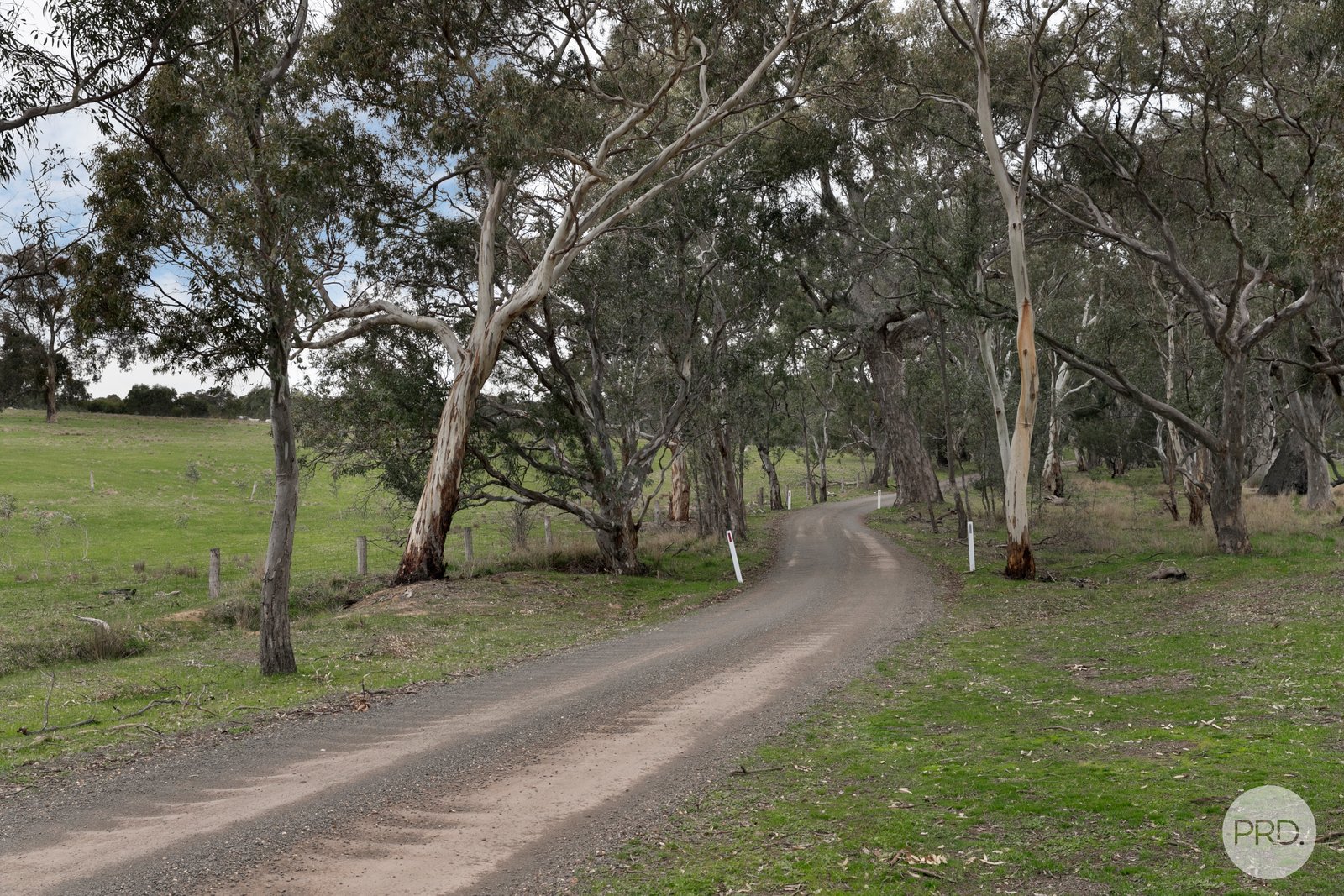 203 Browns Road BURNBANK 12