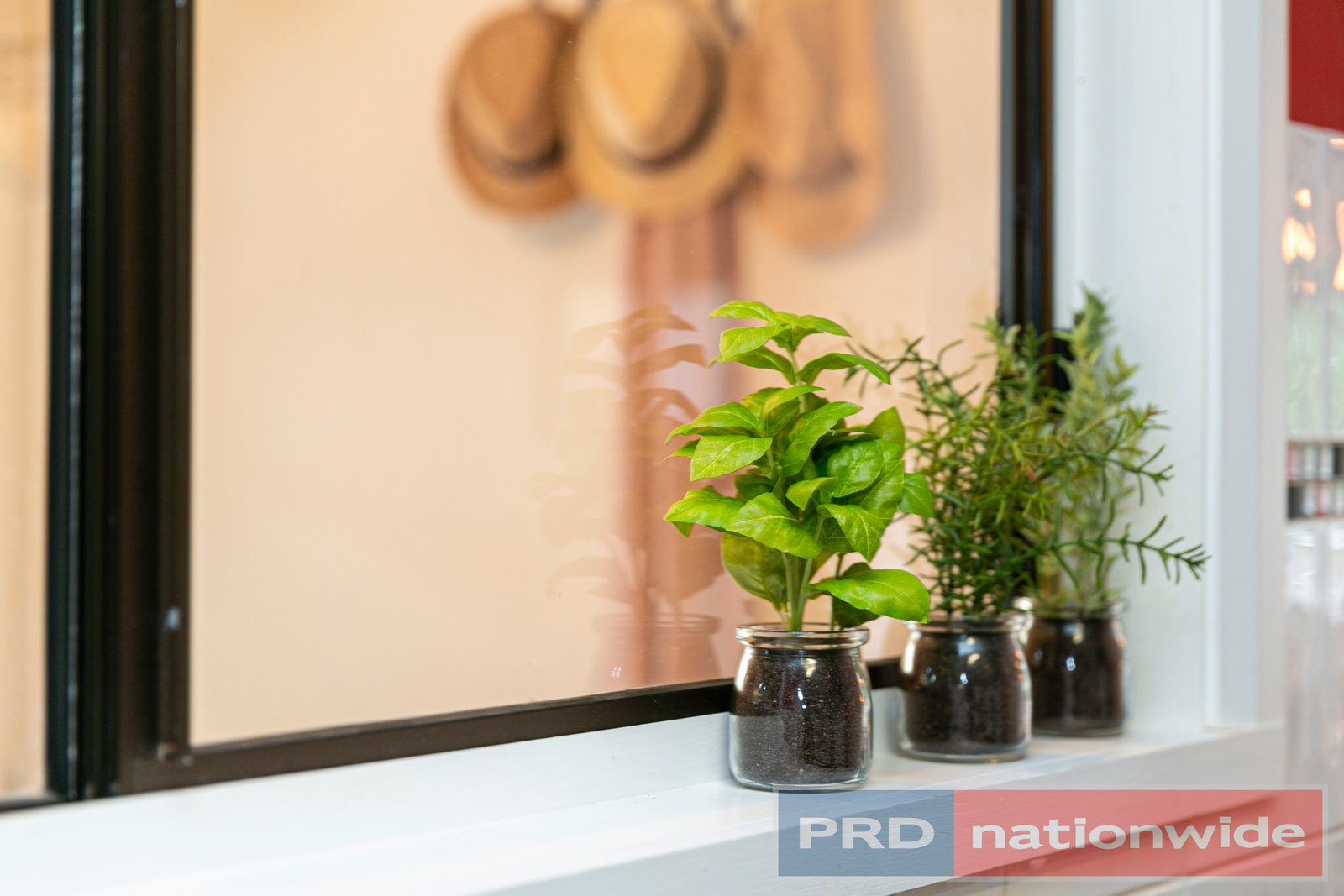 203 Crompton Street SOLDIERS HILL 18