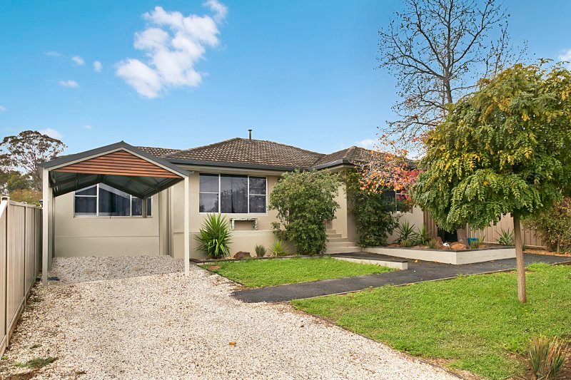 203 Neale Street FLORA HILL 1