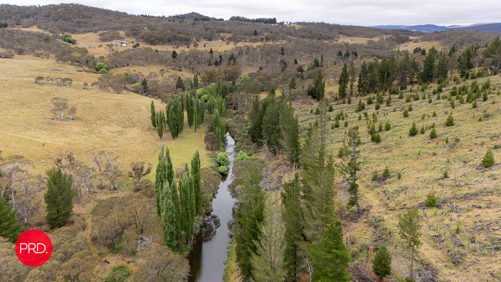 203 Wolgal Road CAPTAINS FLAT 4