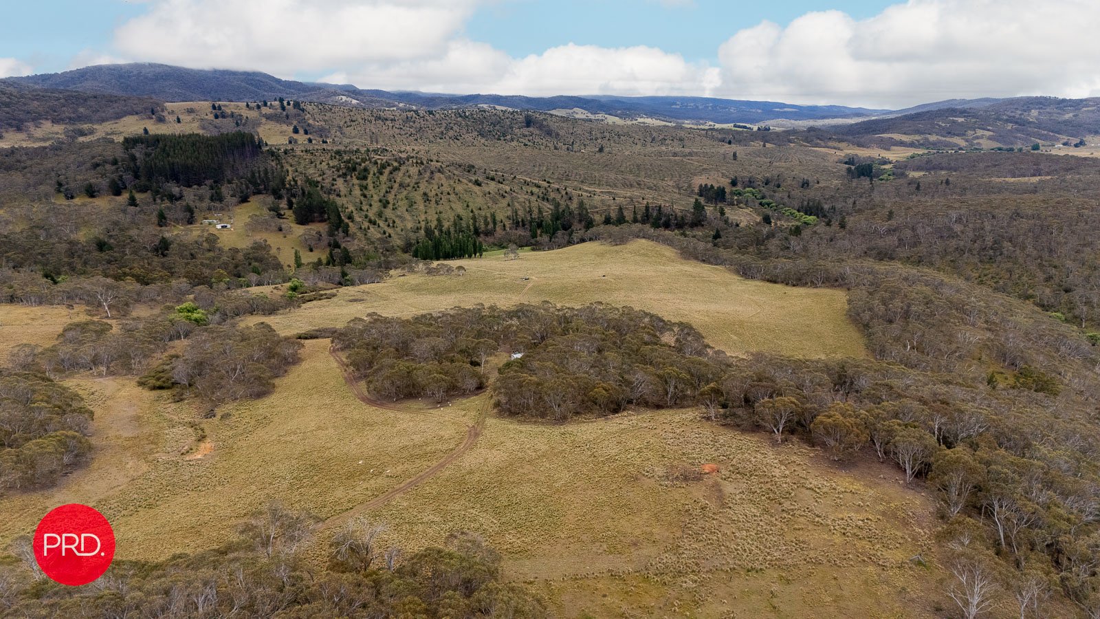 203 Wolgal Road CAPTAINS FLAT 7