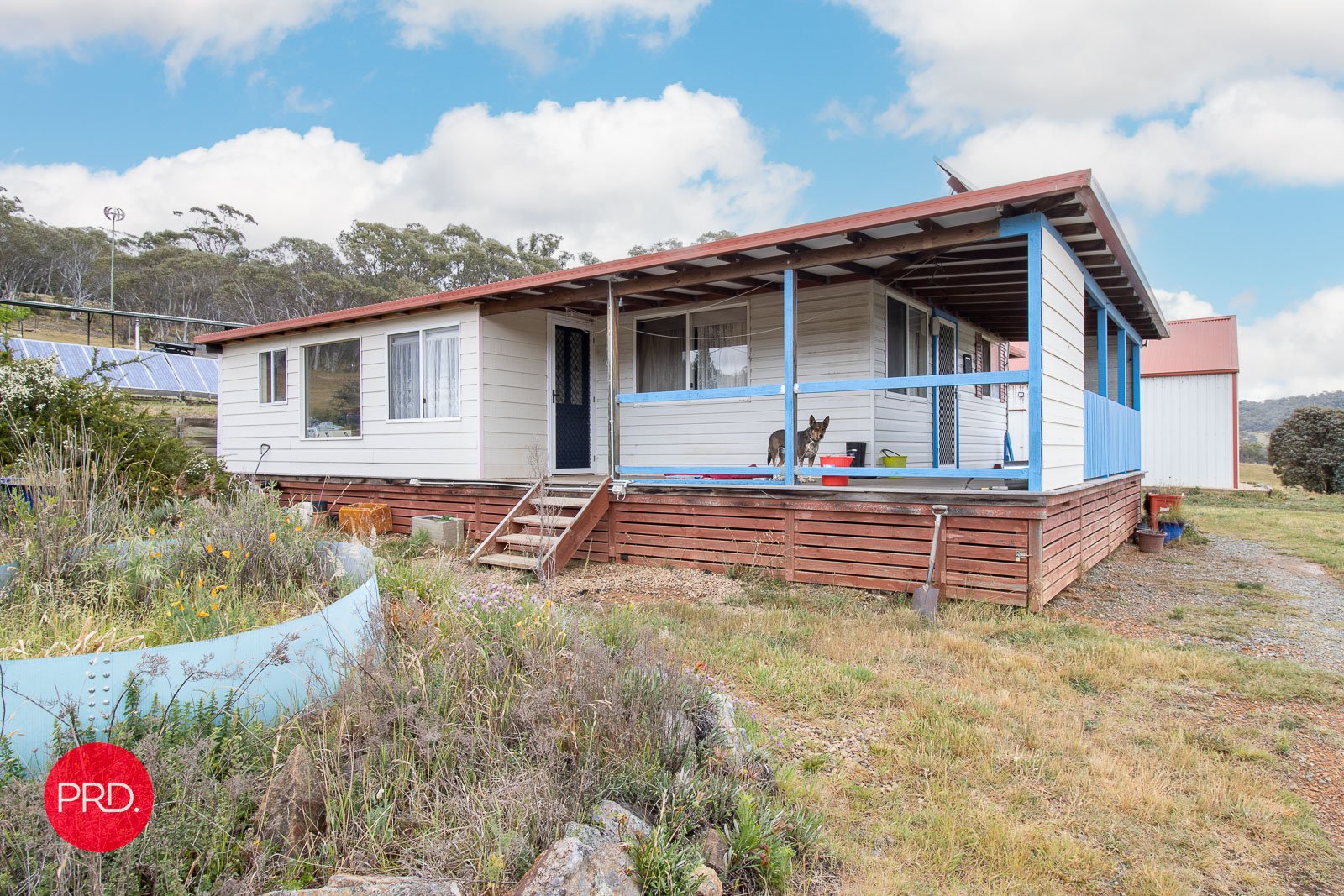 203 Wolgal Road CAPTAINS FLAT 9