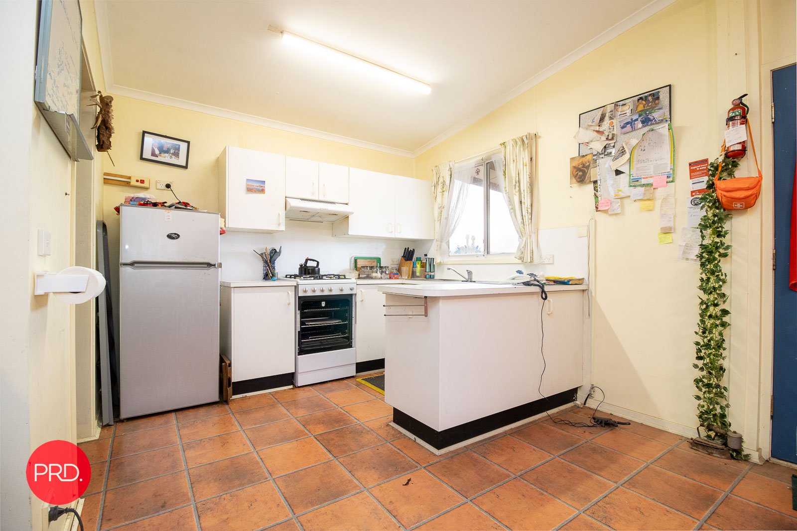 203 Wolgal Road CAPTAINS FLAT 12