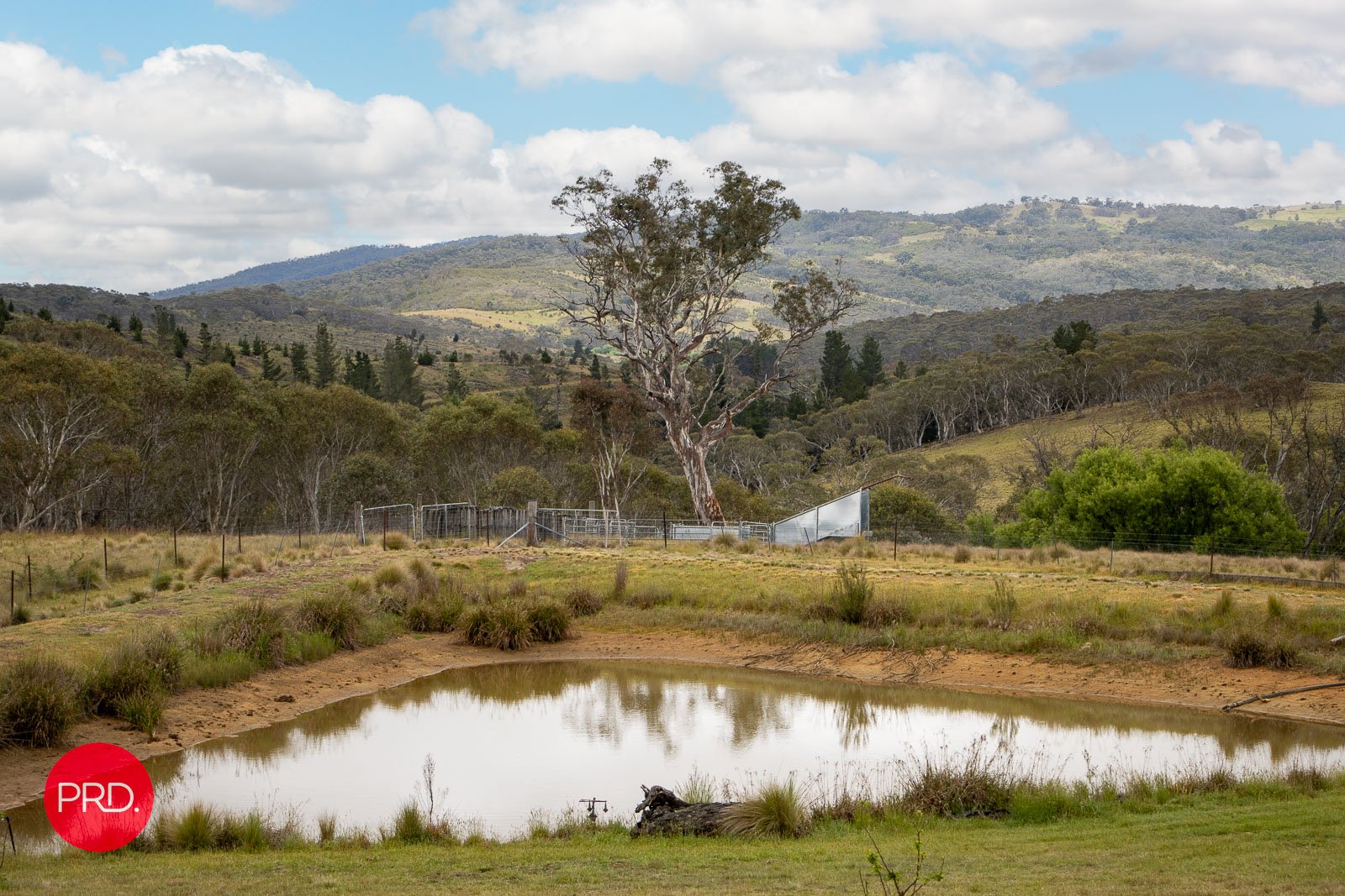 203 Wolgal Road CAPTAINS FLAT 18