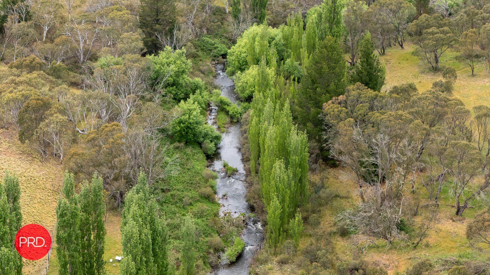 203 Wolgal Road CAPTAINS FLAT 22