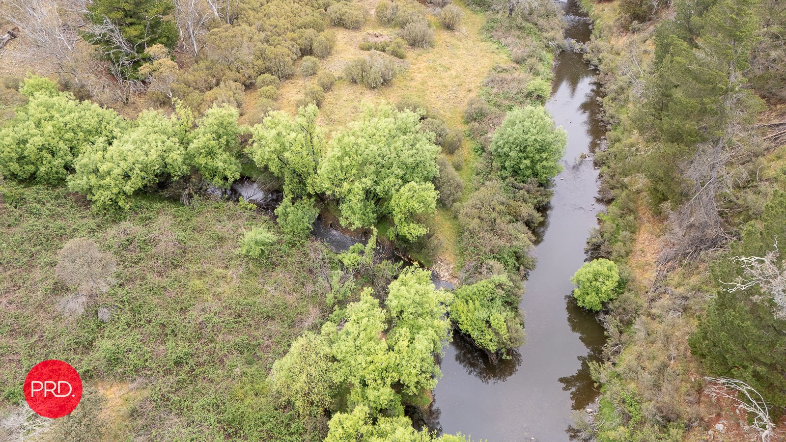 203 Wolgal Road CAPTAINS FLAT 23