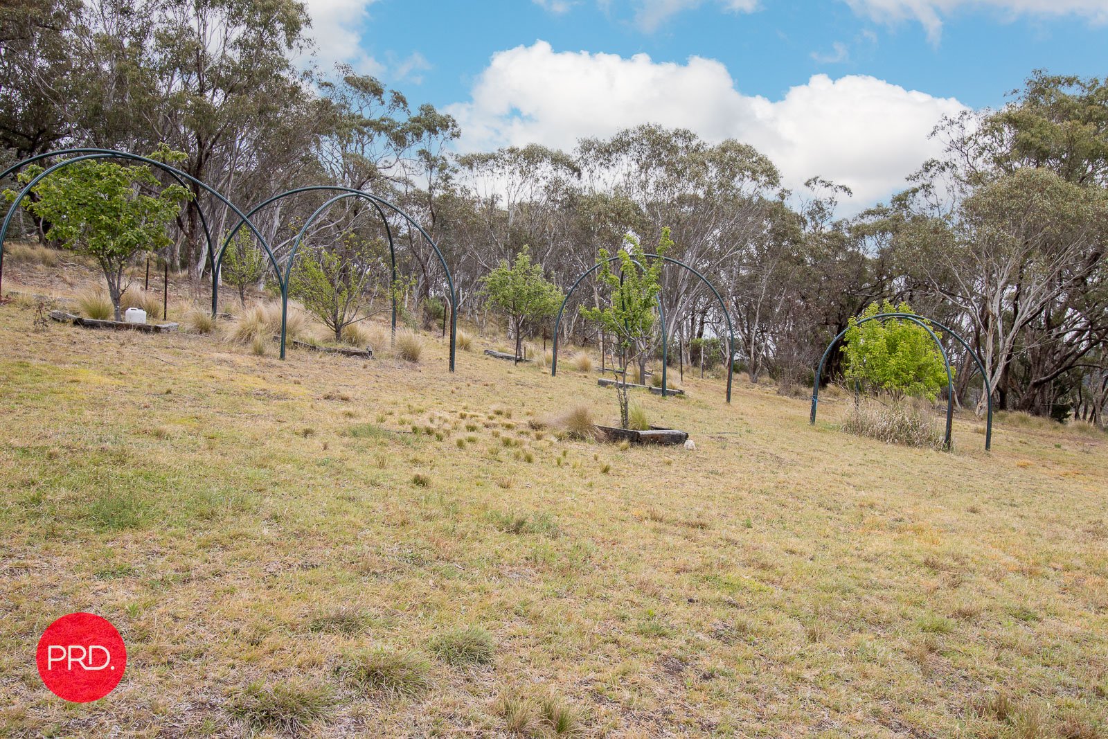 203 Wolgal Road CAPTAINS FLAT 27