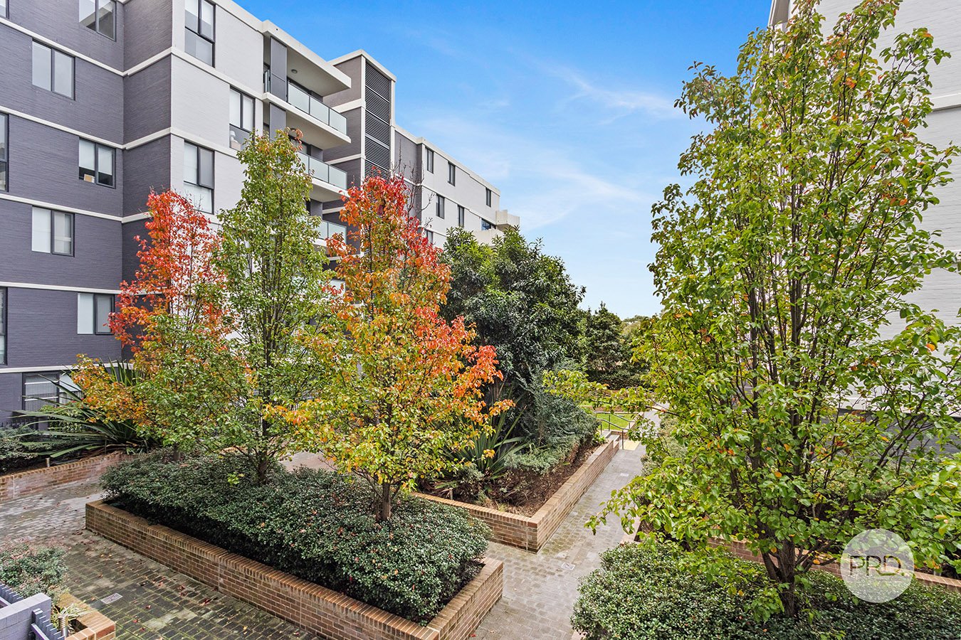 203/1 Vermont Crescent RIVERWOOD 10