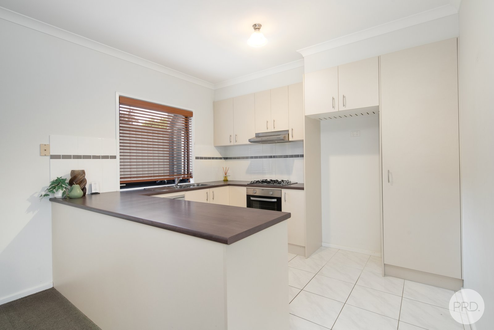 203C Clissold Street BLACK HILL 2