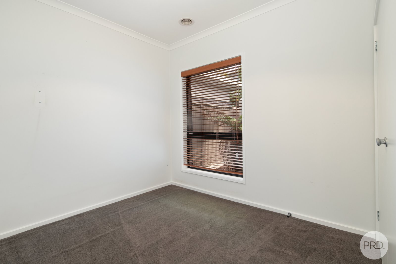 203C Clissold Street BLACK HILL 8