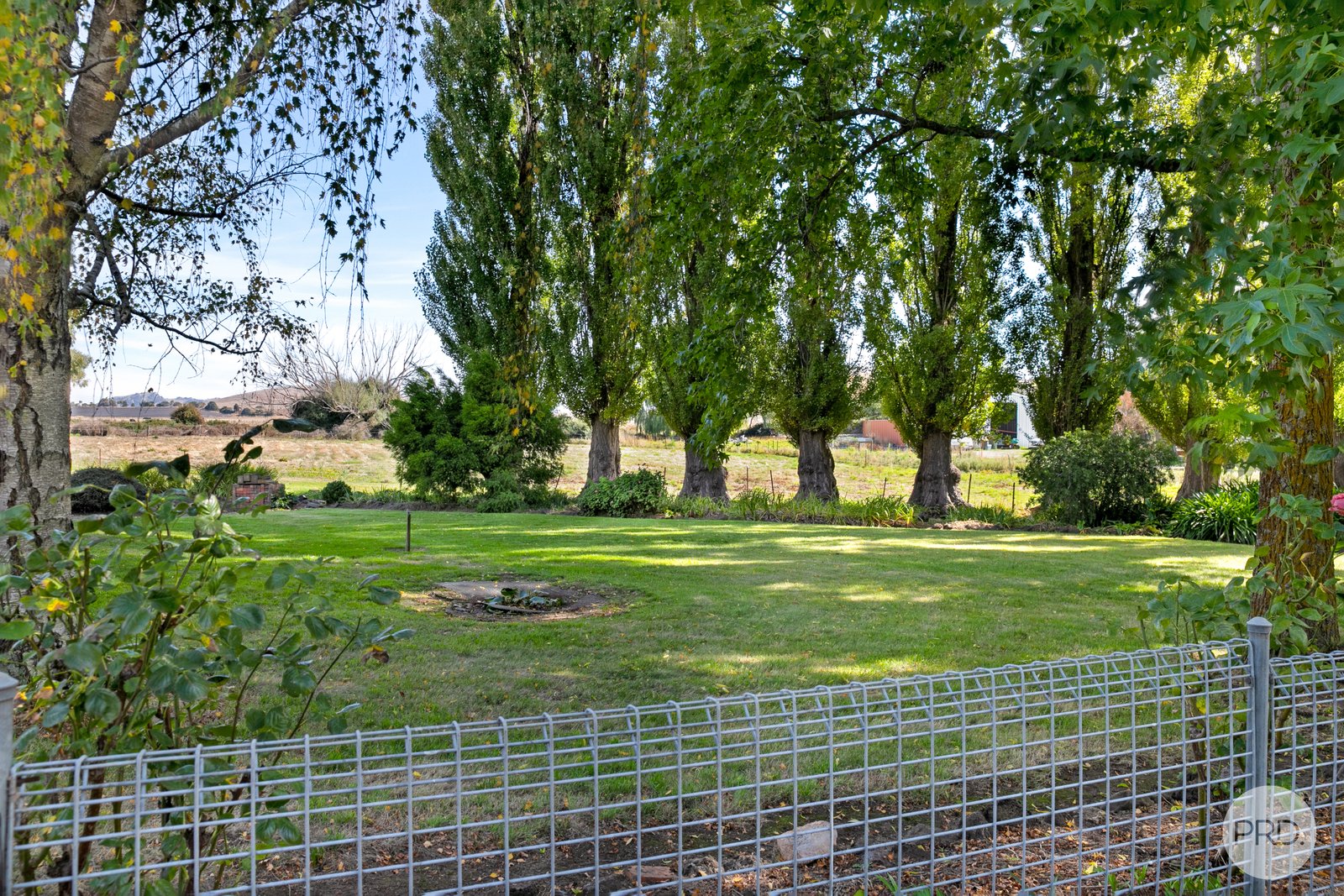 2047 Sunraysia Highway WAUBRA 17