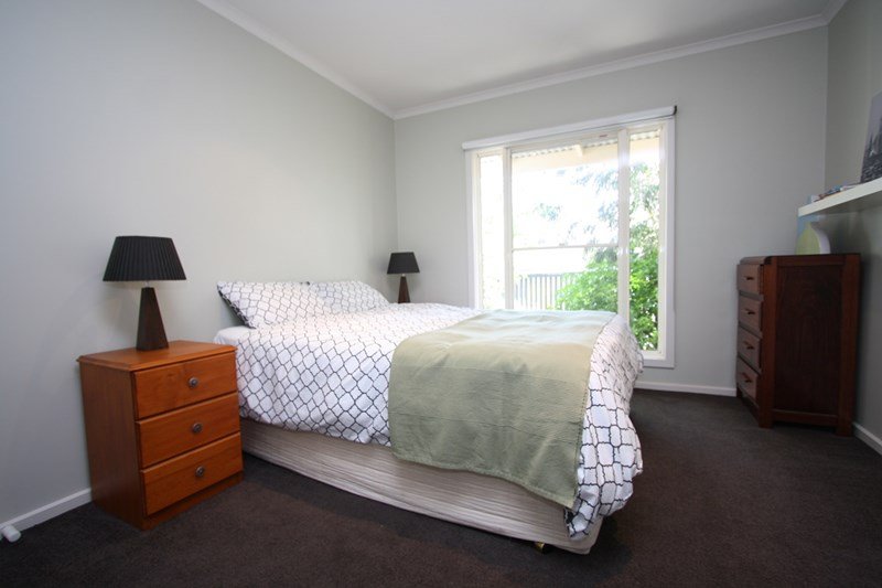 Gallery: 204a Johns Street