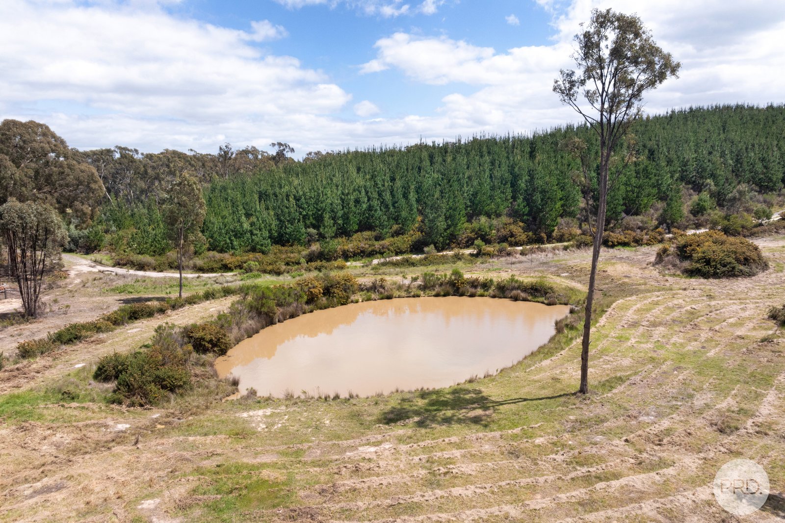 205 Bald Hills Road CRESWICK 4