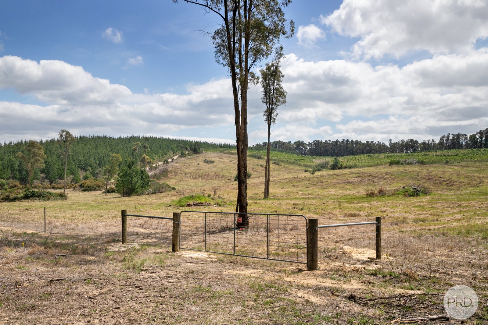 205 Bald Hills Road CRESWICK 6